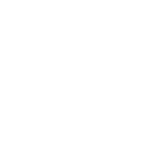 Flight